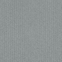 PHL.WARM.MEMORIES Shaw Warm Memories Carpet