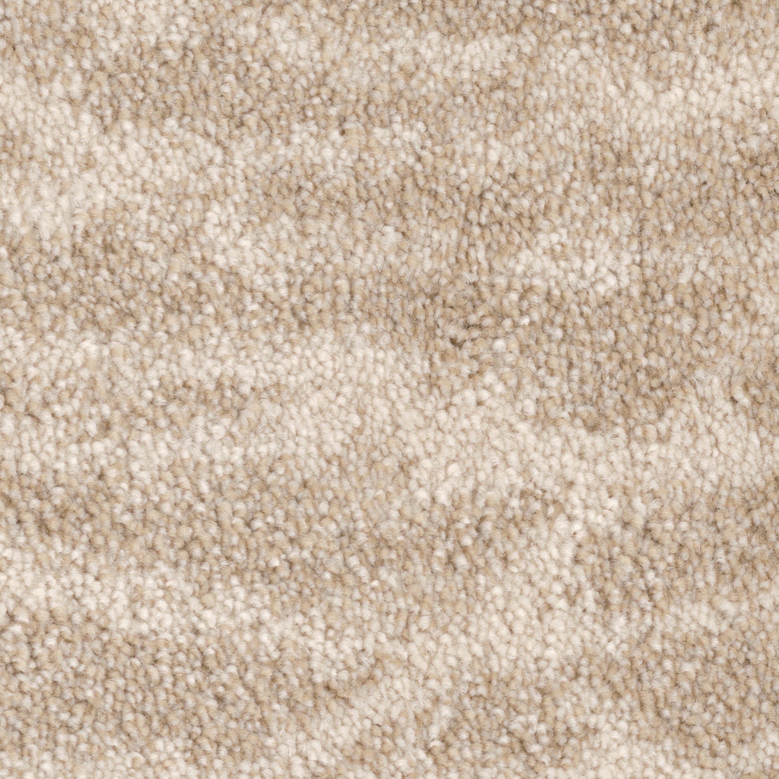 PHN.AFICIONADO Phenix Aficionado Carpet-1