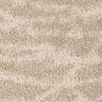 PHN.AFICIONADO Phenix Aficionado Carpet