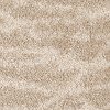 PHN.AFICIONADO Phenix Stainmaster Aficionado Carpet