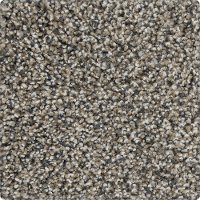 KAR.FASCINATING.ALLURE.STOCK Karastan Fascinating Allure Carpet