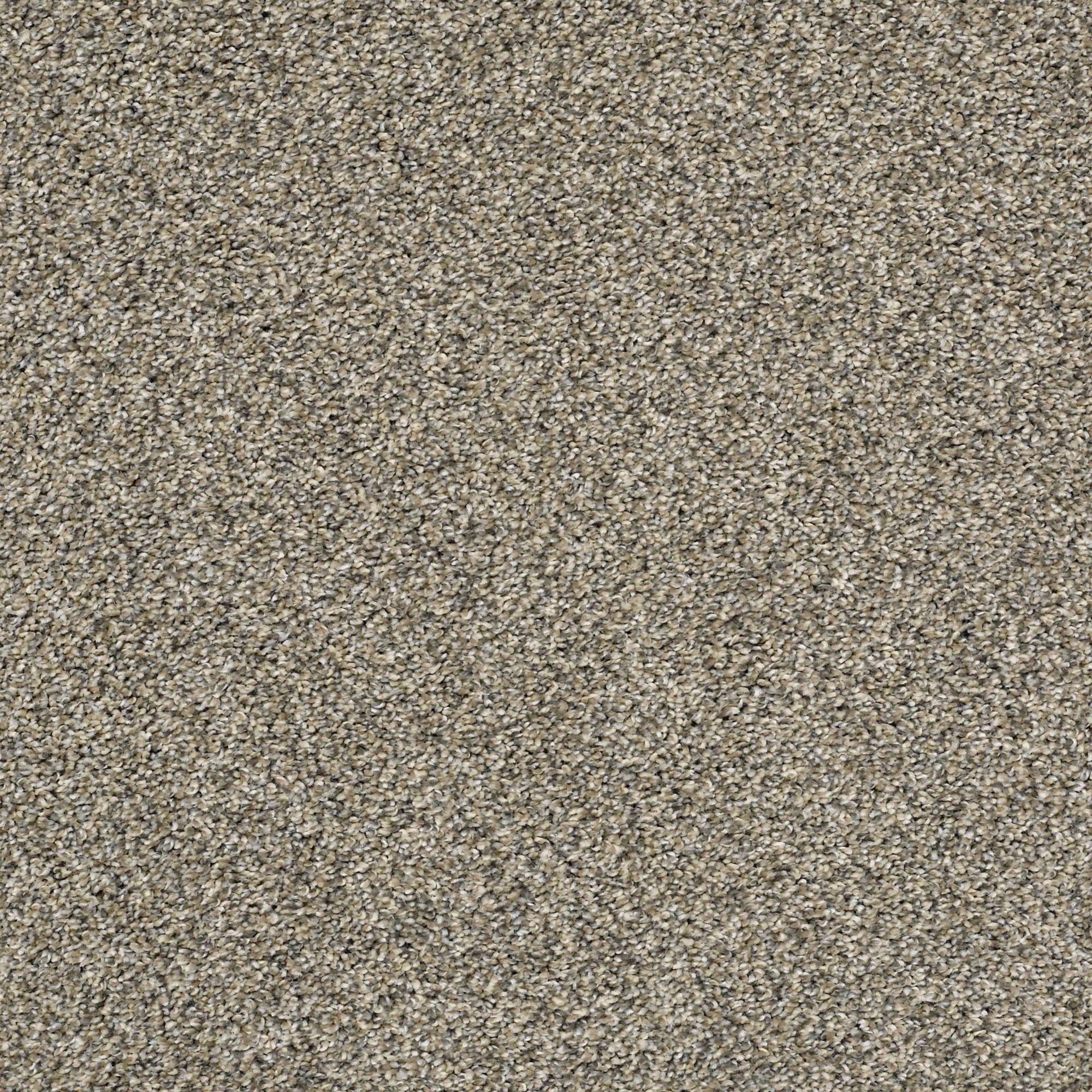 QUE.SWEET.APPEAL.STOCK Shaw Sweet Appeal Carpet-1