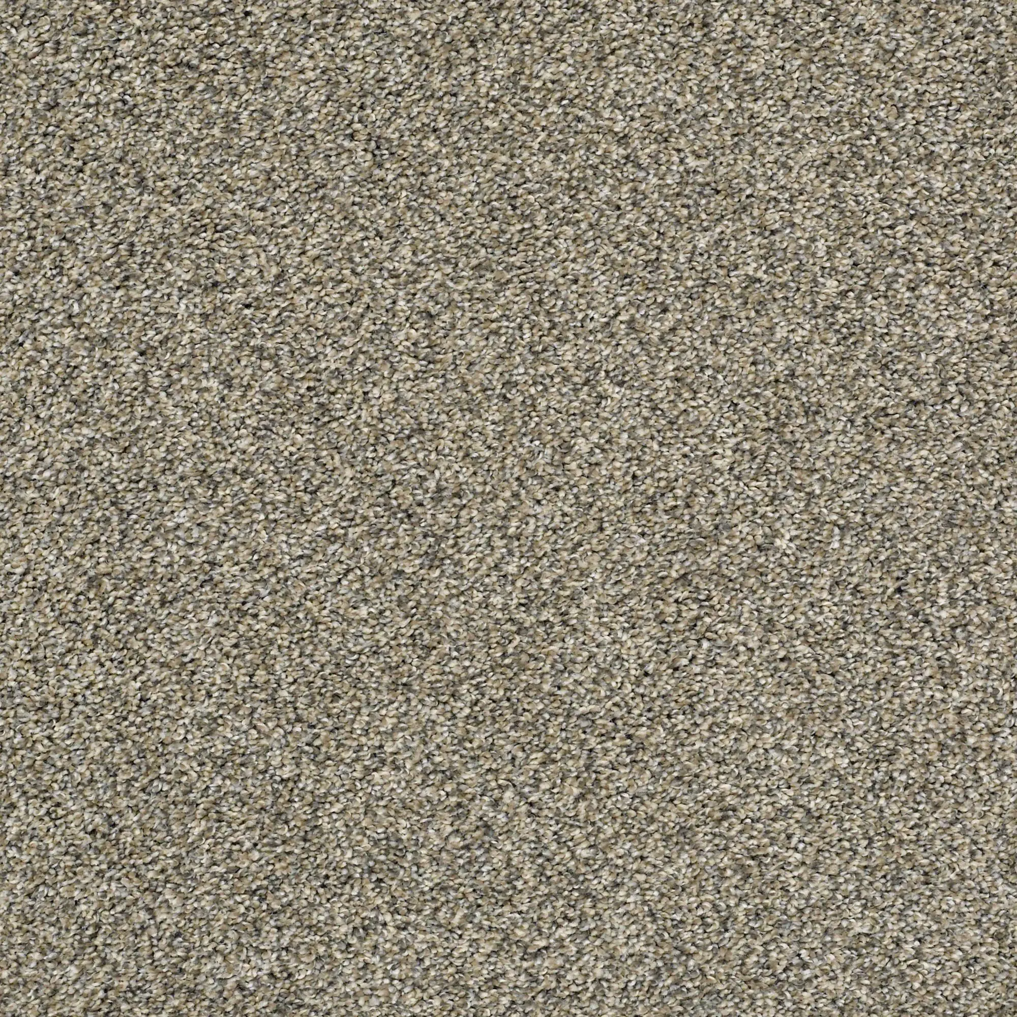 QUE.SWEET.APPEAL.STOCK Shaw Sweet Appeal Carpet-1