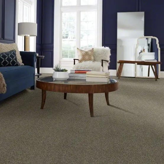QUE.SWEET.APPEAL.STOCK Shaw Sweet Appeal Carpet-2