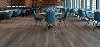 HWS.GLACIER.POINT Republic Glacier Point Luxury Vinyl Plank Flooring - 7 x 59 Inch