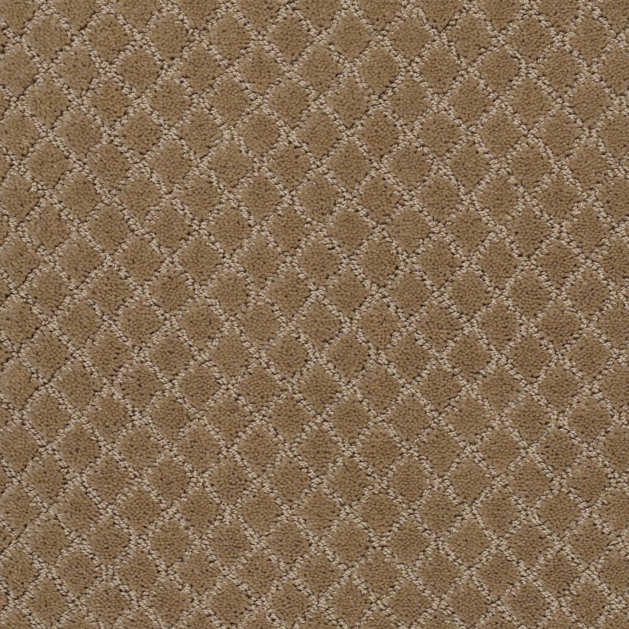 DSW.PAWNACHE Tuftex Pawnache Carpet-1