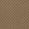 DSW.PAWNACHE Tuftex Stainmaster Pawnache Carpet