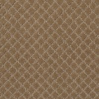 DSW.PAWNACHE Tuftex Stainmaster Pawnache Carpet