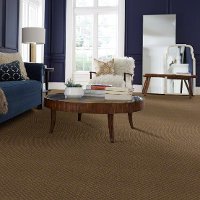 DSW.PAWNACHE Tuftex Stainmaster Pawnache Carpet-2