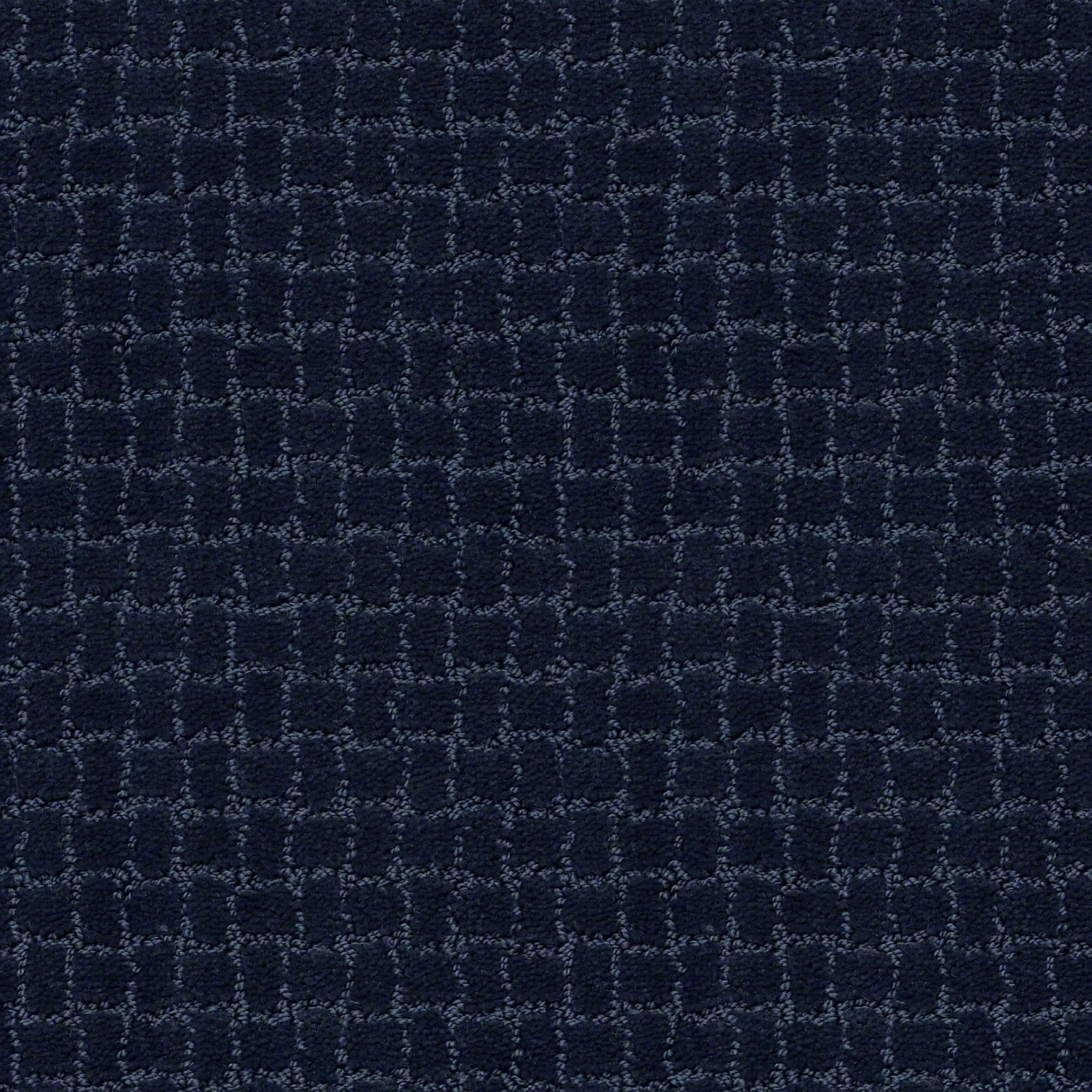 DSW.PAWSTRUCK Tuftex Pawstruck Carpet-1