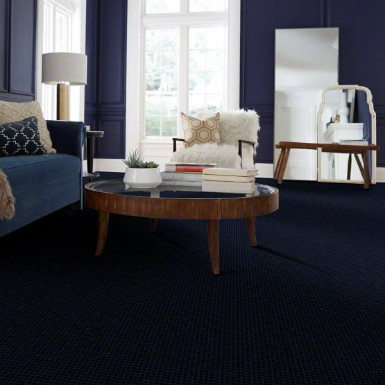 DSW.PAWSTRUCK Tuftex Pawstruck Carpet-2