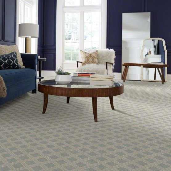 DSW.SCOUT Tuftex Scout Carpet-2