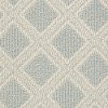 DSW.SCOUT Tuftex Stainmaster Scout Carpet