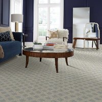 DSW.SCOUT Tuftex Stainmaster Scout Carpet-2
