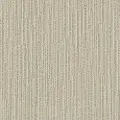 DSW.CHASE Tuftex Chase Carpet