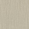 DSW.CHASE Tuftex Stainmaster Chase Carpet