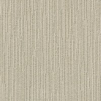 DSW.CHASE Tuftex Stainmaster Chase Carpet