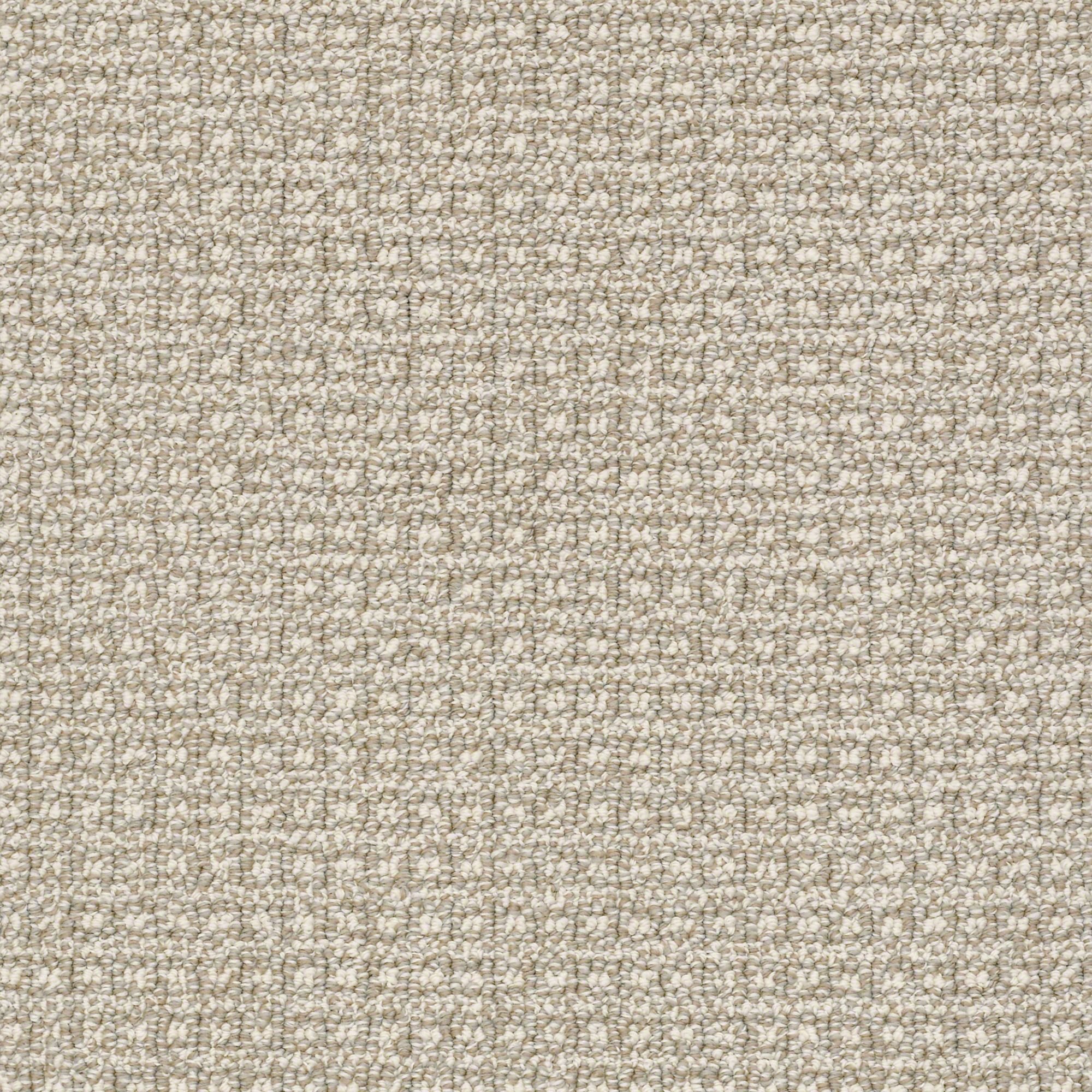 DSW.FETCH Tuftex Fetch Carpet-1