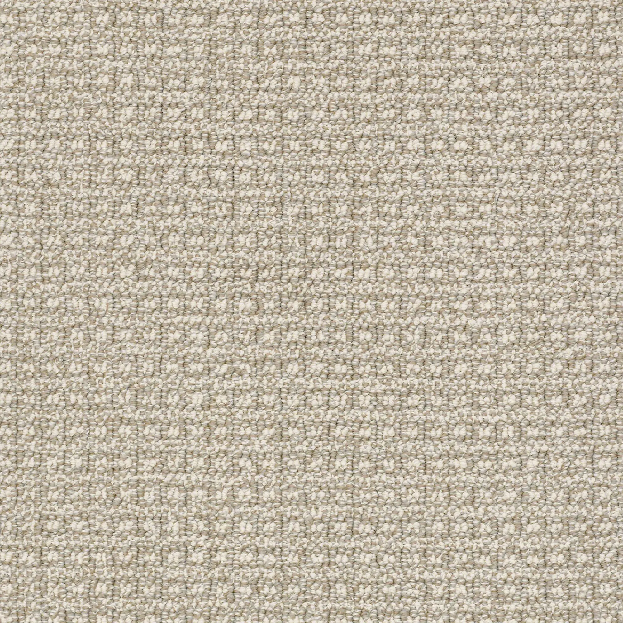 DSW.FETCH Tuftex Fetch Carpet-1
