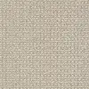 DSW.FETCH Tuftex Fetch Carpet