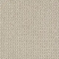 DSW.FETCH Tuftex Fetch Carpet