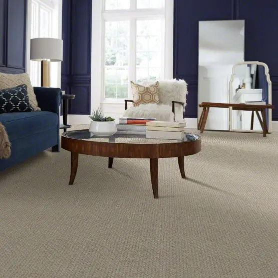 DSW.FETCH Tuftex Fetch Carpet-2
