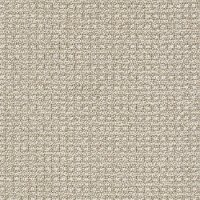 DSW.FETCH Tuftex Stainmaster Fetch Carpet