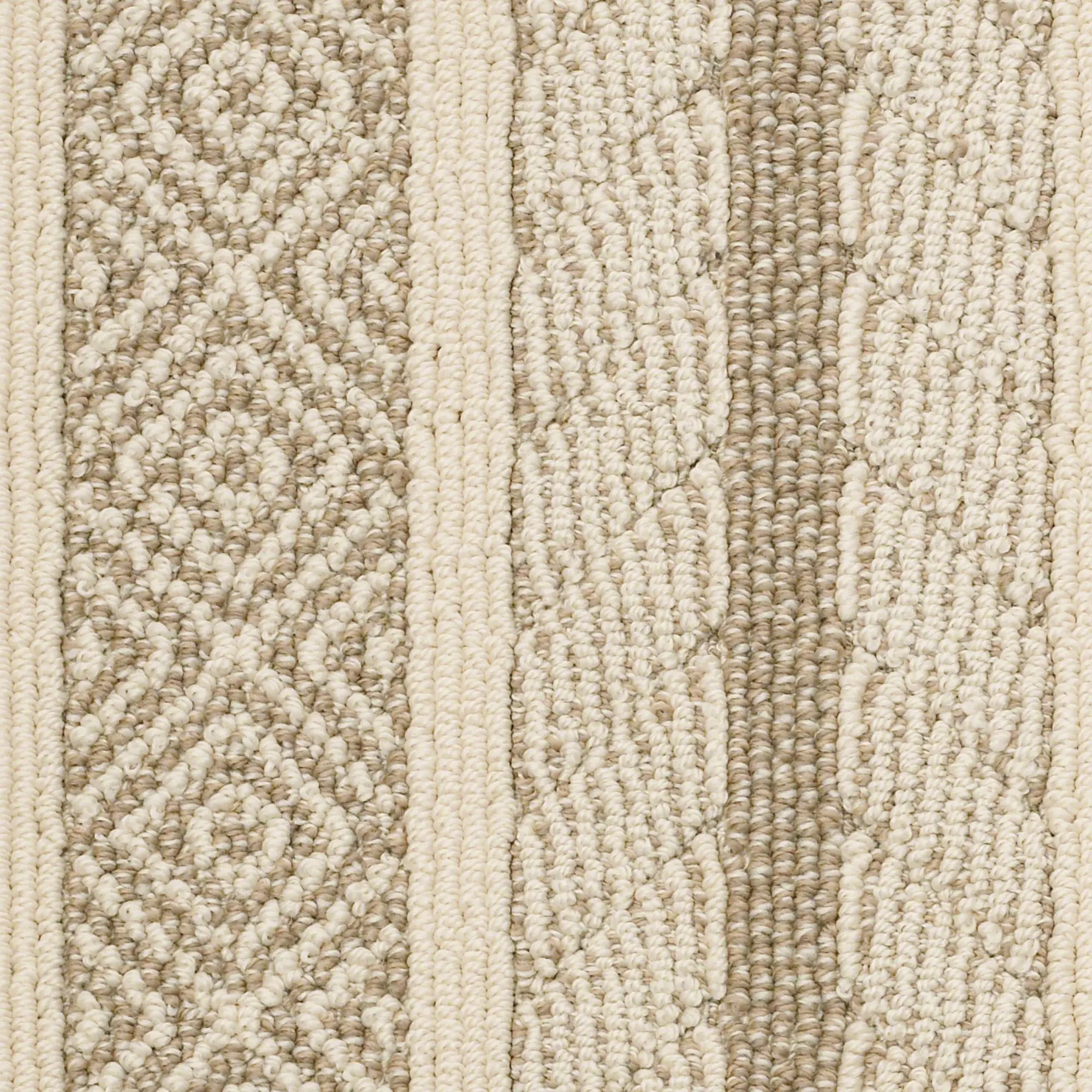 DSW.SPEAK Tuftex Speak Carpet-1