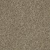 DSW.THE.BARK.SIDE.I Tuftex Stainmaster The Bark Side I Carpet