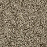 DSW.THE.BARK.SIDE.I Tuftex Stainmaster The Bark Side I Carpet