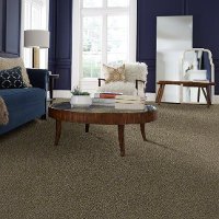 DSW.THE.BARK.SIDE.I Tuftex Stainmaster The Bark Side I Carpet-2