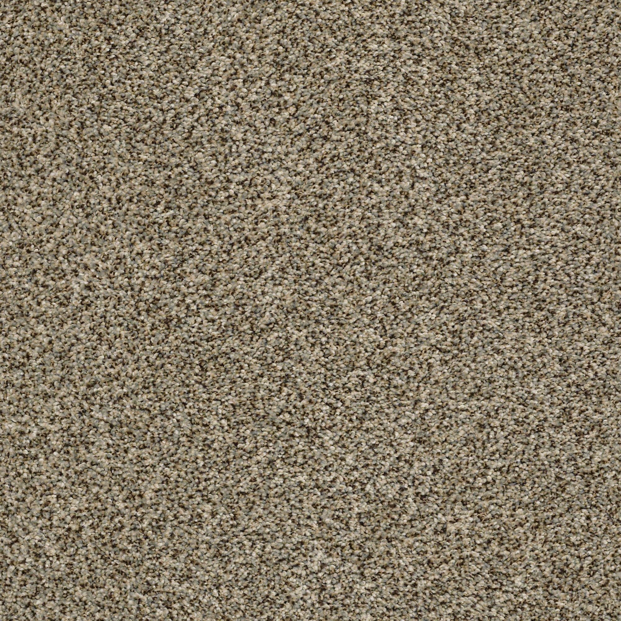 DSW.THE.BARK.SIDE.I Tuftex The Bark Side I Carpet-1