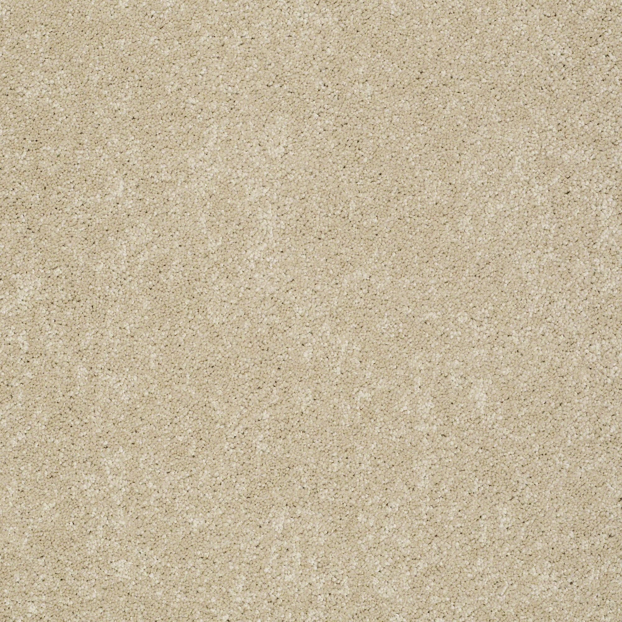 DSW.PAWPARAZZI.II Tuftex Pawparazzi II Carpet-1