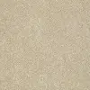 DSW.PAWPARAZZI.II Tuftex Pawparazzi II Carpet
