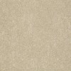 DSW.PAWPARAZZI.II Tuftex Stainmaster Pawparazzi II Carpet