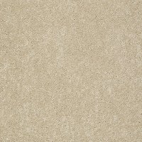 DSW.PAWPARAZZI.II Tuftex Stainmaster Pawparazzi II Carpet