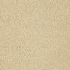 DSW.PAWPARAZZI.I Tuftex Stainmaster Pawparazzi I