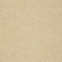 DSW.PAWPARAZZI.I Tuftex Stainmaster Pawparazzi I