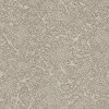 DSW.STARGAZER Tuftex Stainmaster Stargazer Carpet
