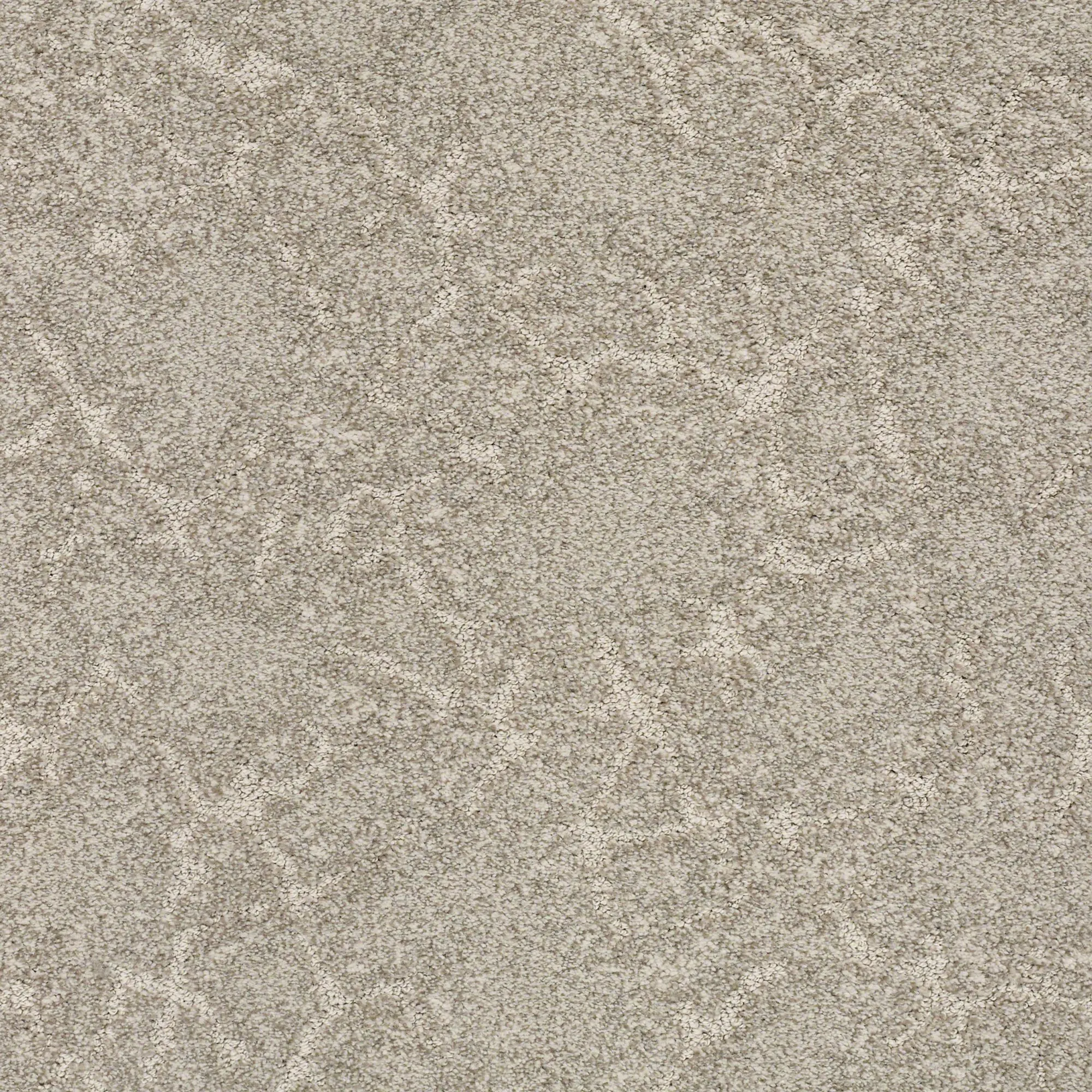 DSW.STARGAZER Tuftex Stargazer Carpet-1