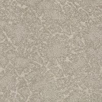 DSW.STARGAZER Tuftex Stargazer Carpet