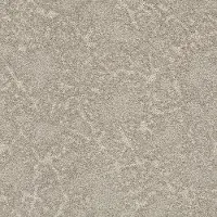DSW.STARGAZER Tuftex Stargazer Carpet