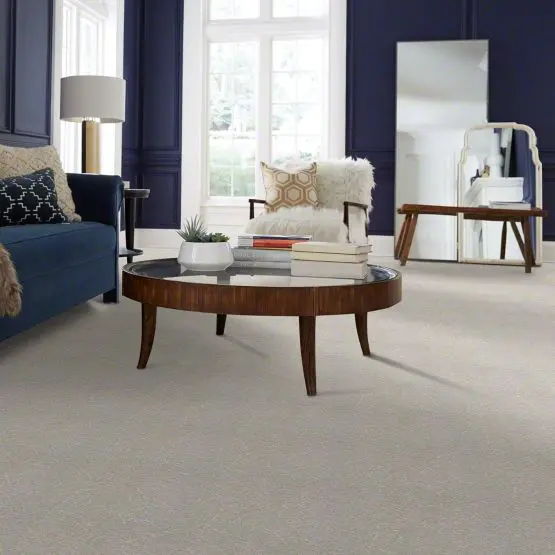 DSW.STARGAZER Tuftex Stargazer Carpet-2
