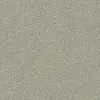DSW.FREE.FORM Tuftex Free Form Carpet