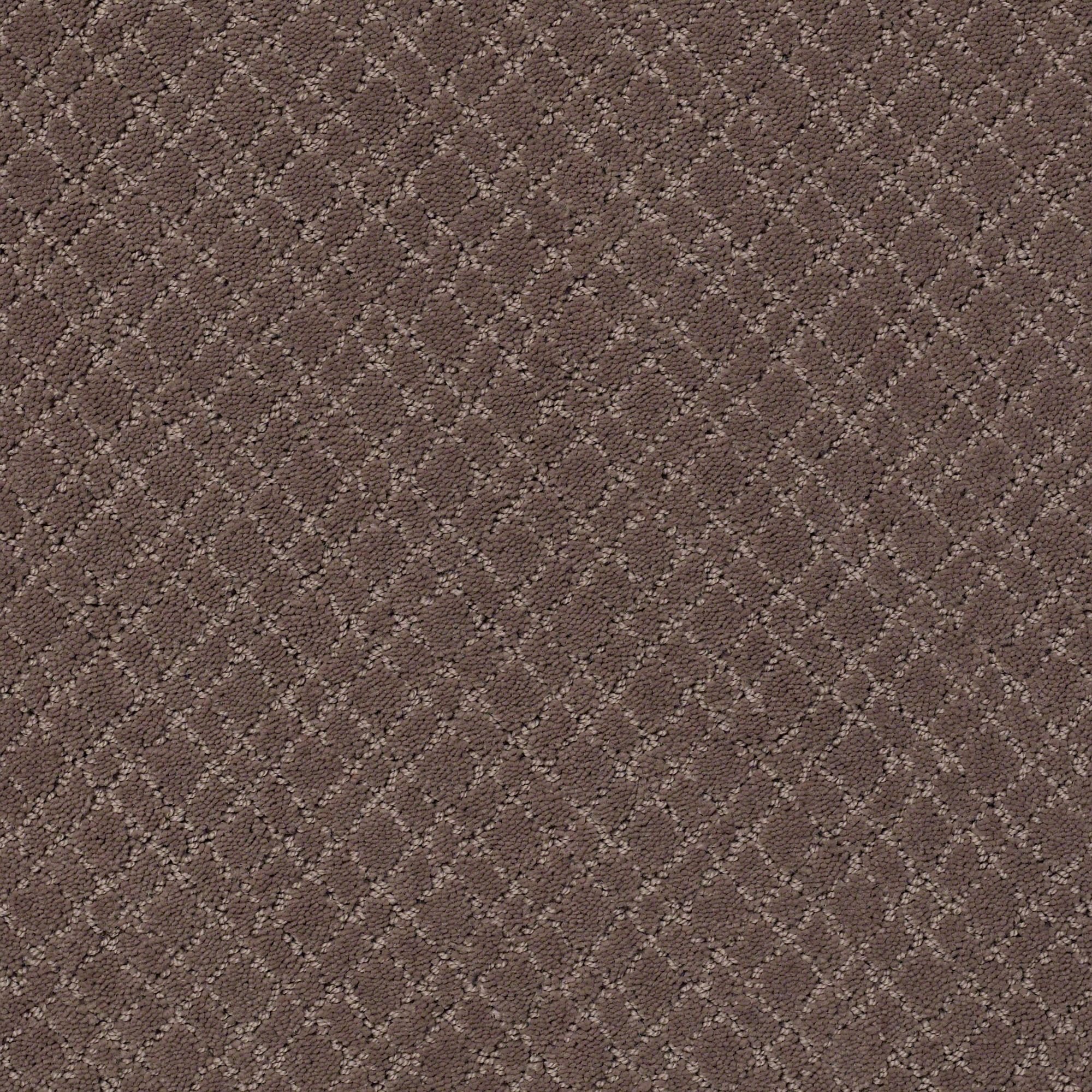 DSW.MOSAIC Tuftex Mosaic Carpet-1