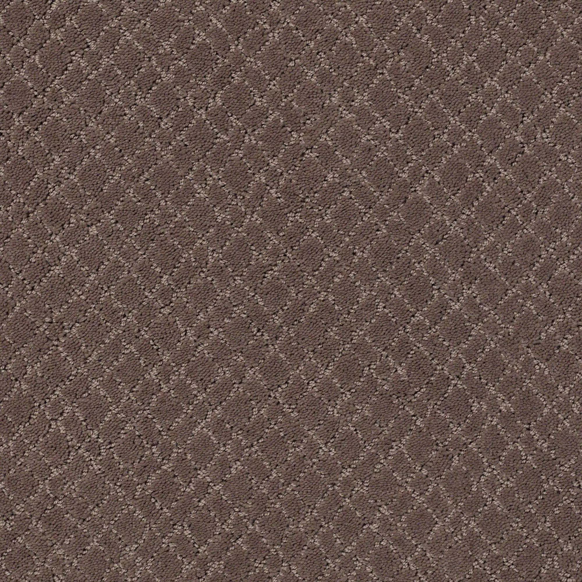 DSW.MOSAIC Tuftex Mosaic Carpet-1