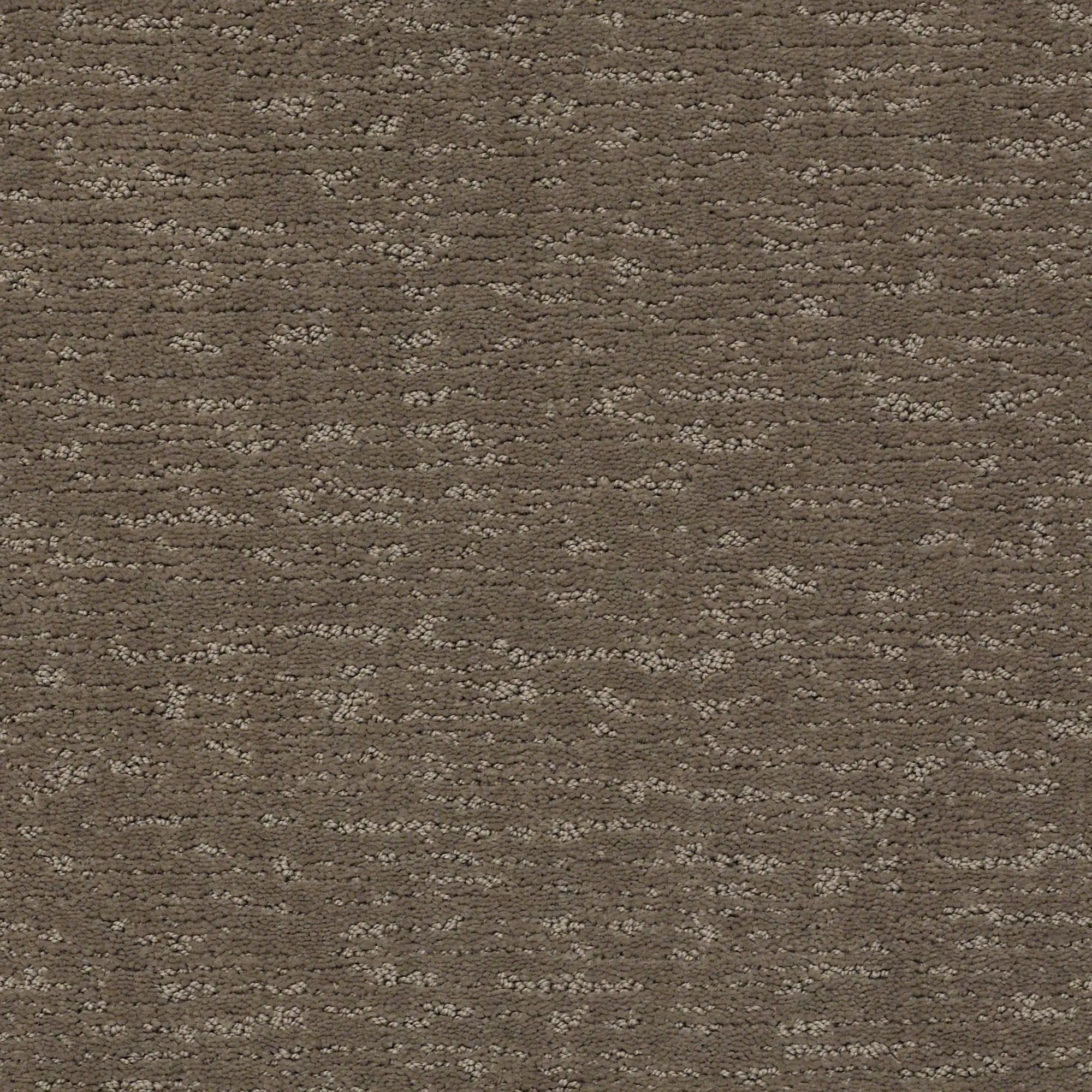 DSW.SKETCH Tuftex Sketch Carpet-1