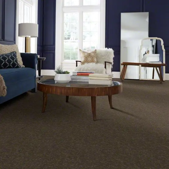 DSW.SKETCH Tuftex Sketch Carpet-2