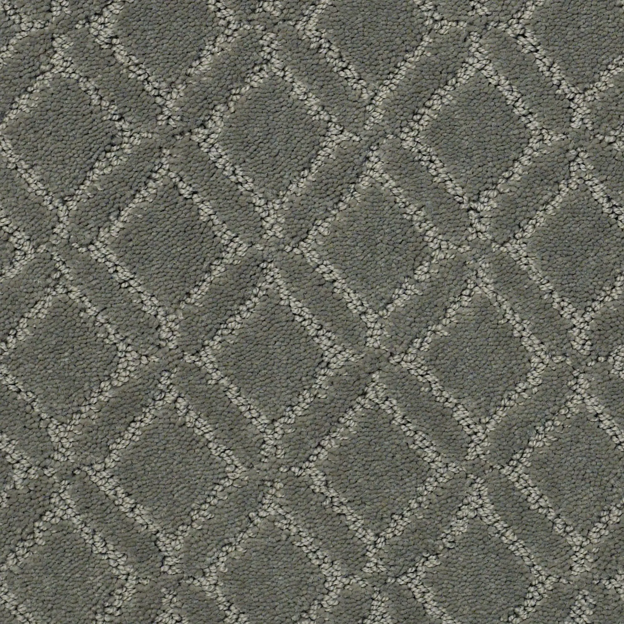 DSW.MUSE Tuftex Muse Carpet-1