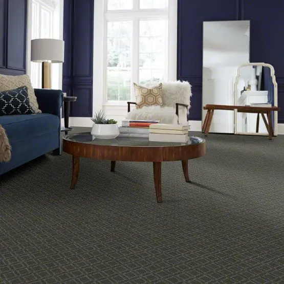 DSW.MUSE Tuftex Muse Carpet-2